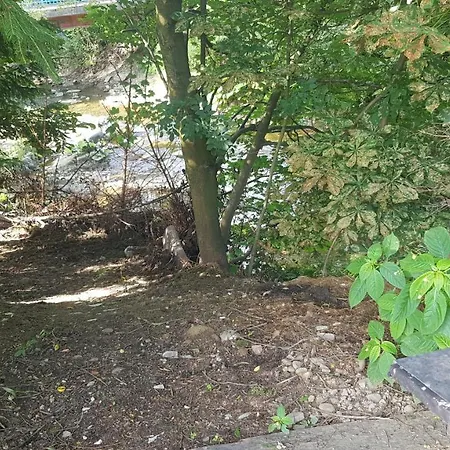 Ranczo Pod Babią Górą Apartamento Lipnica Wielka