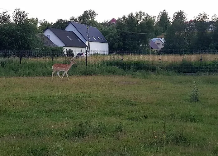 Lägenhet Ranczo Pod Babia Gora